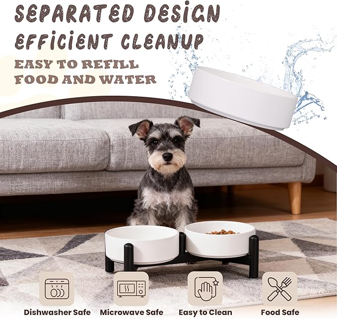 Raised Ceramic Dog Bowl Set - Elevated Double Dishes with Stainless Steel Stand - Food and Water Bowls for Small Dogs and Indoor Cats - Each Holds 2.1 Cups (14 fl oz) - White