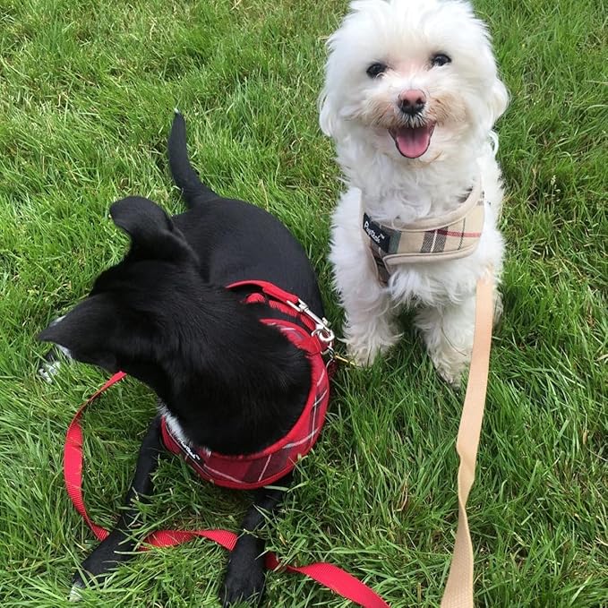 PUPTECK Soft Mesh Dog Harness and Leash Set Pet Puppy Cat Comfort Padded Vest No Pull Harnesses, Red, XS