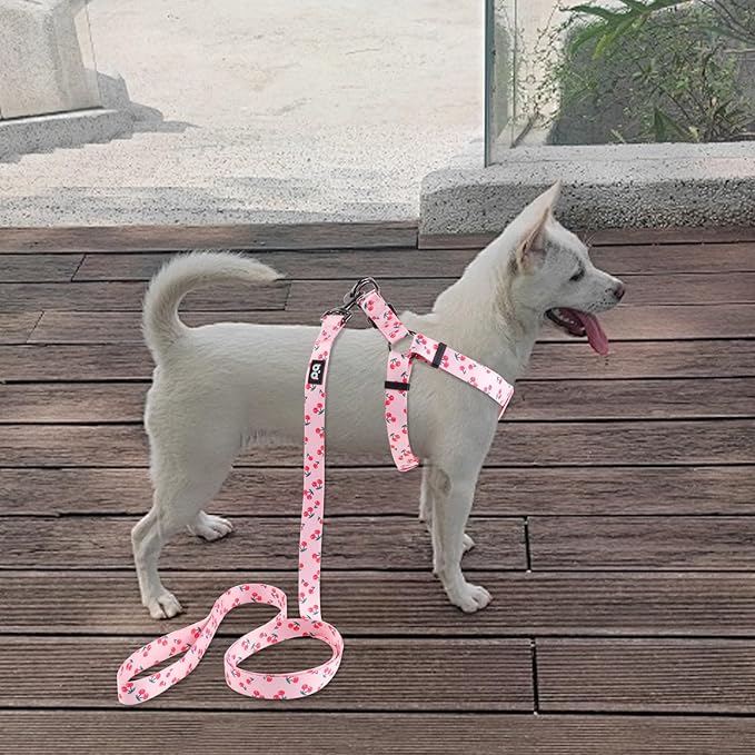 QQPETS Dog Harness Leash Set Adjustable Heavy Duty No Pull Halter Harnesses for Small Medium Large Breed Dogs Back Clip Anti-Twist Perfect for Walking (M(19"-26" Chest Girth), Sakura Pink)