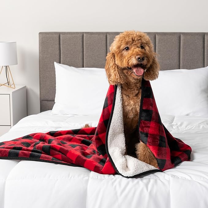 PetAmi Waterproof Dog Blanket Sherpa Fleece, Pet for Small Medium Dogs, Reversible Large Cat Throw Bed Couch Sofa Furniture Protector, Soft Plush Microfiber (Small 24x32, Check Red) Checkered Red