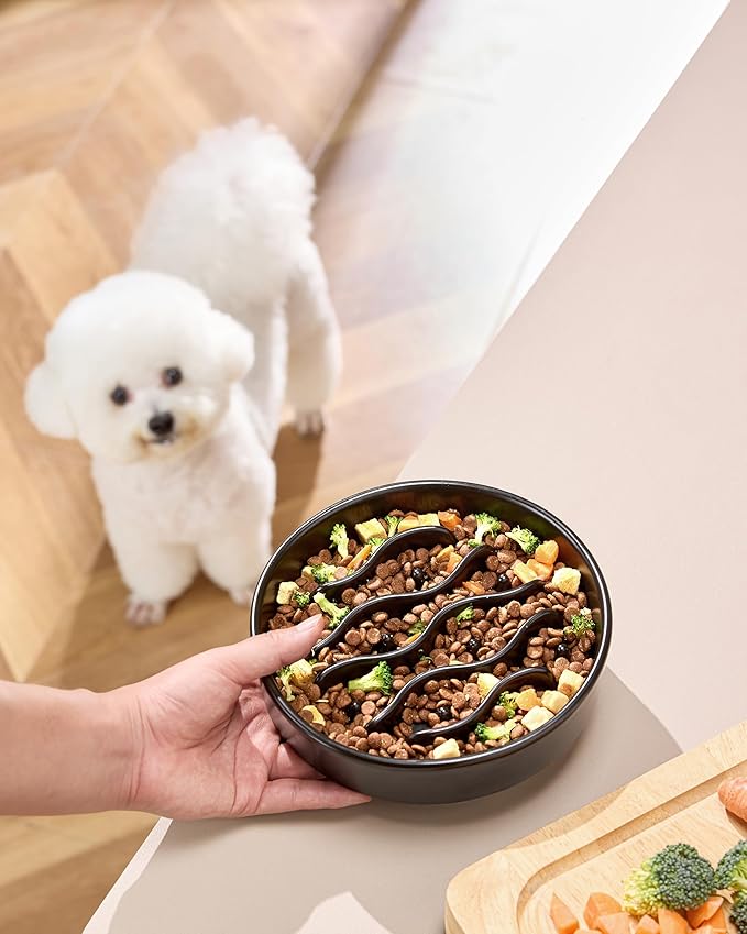 Ceramic Slow Feeder Dog Bowls for Medium and Large Dogs, 2.0 Cups Dog Slow Feeder for Fast Eater, 30oz, 8in, Black