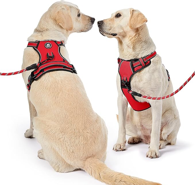 NESTROAD No Pull Dog Harness,Adjustable Oxford Dog Vest Harness with Leash,Reflective No-Choke Pet Harness with Easy Control Soft Handle for Large Dogs(Large,Red)