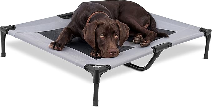 Internet's Best Dog Cot | 36 x 30 | Elevated Dog Bed | Cool Breathable Mesh | Indoor or Outdoor Use | Medium | Grey