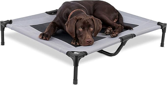 Internet's Best Dog Cot | 36 x 30 | Elevated Dog Bed | Cool Breathable Mesh | Indoor or Outdoor Use | Medium | Grey