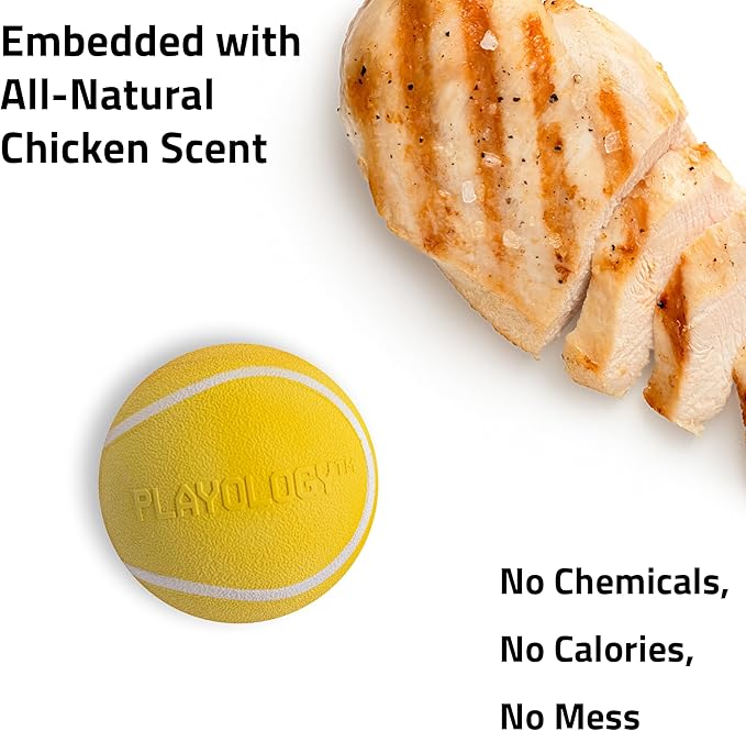 Playology Dog Toys | Squeaky Chew Ball - Bouncy Durable Floating Fetch Ball for Dogs, Value 3-Pack | Small Chicken Scented Toy - Easy to Clean and Made from Non Toxic Materials