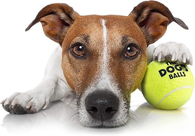 The Little Dog's Balls, Dog Tennis Balls, Yellow 6-Pack,Strong Toy for Agility Training, Puppy Training, Play, Exercise & Fetch, 1.9 Inches Diameter