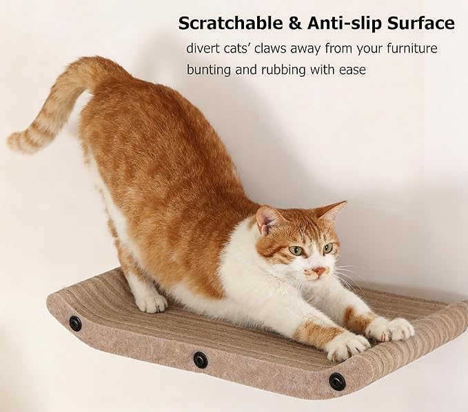 Wall Mounted Cat Shelves and Perches,Scratcher Cat Beds & Furniture for Indoor Cats, Soft PET Felt Feline Climbing Wall Set, Modern Jungle Gym System for Lounging and Sleeping(Set of 4-Oatmeal)