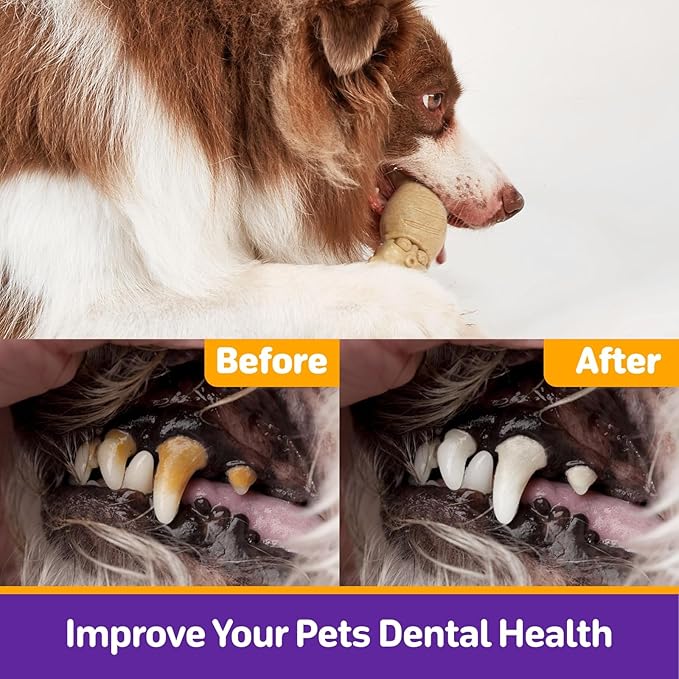 Dog Toys for Aggressive Chewers, 3 Pack Indestructible Dog Chew Toys, Super Chewer Toys with Tough Nylon for All Breed Sizes, Teeth Cleaning & Training, Boredom Relief