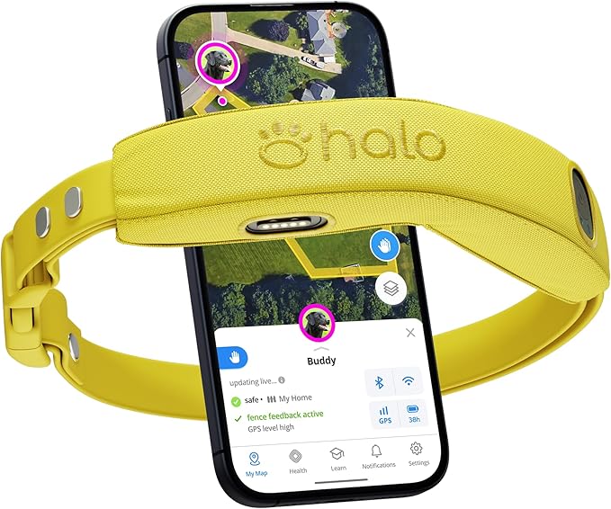 Halo Collar 4, GPS Wireless Dog Fence & Dog Training Collar with GPS Tracker, Subscription Required, Waterproof, Sunburst, One Size