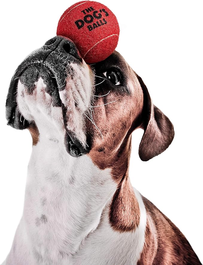 The Dog's Balls, Dog Tennis Ball, Red 12-Pack, Strong Toy for Agility Training, Puppy Training, Play, Exercise & Fetch, 2.5 Inch Diameter