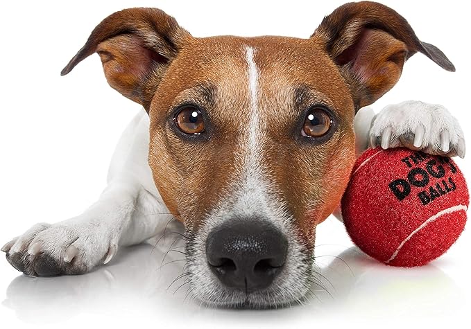 The Dog's Balls 6-Pack Red Dog Toy, Non-Toxic Pet Tennis Balls for Training, Play, Exercise & Fetch, Robust Retrieval Toys for All Breed Sizes