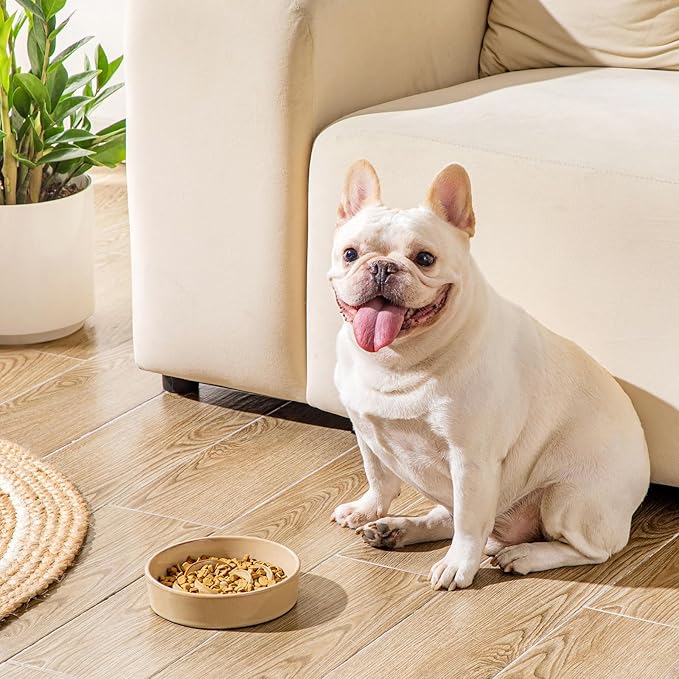 vancasso Slow Feeder Dog Bowl, 0.6 Cups Ceramic Dog Food Dish for Fast Eaters Small Breed, Puzzle Bowl for Small Dogs and Cats, Khaki