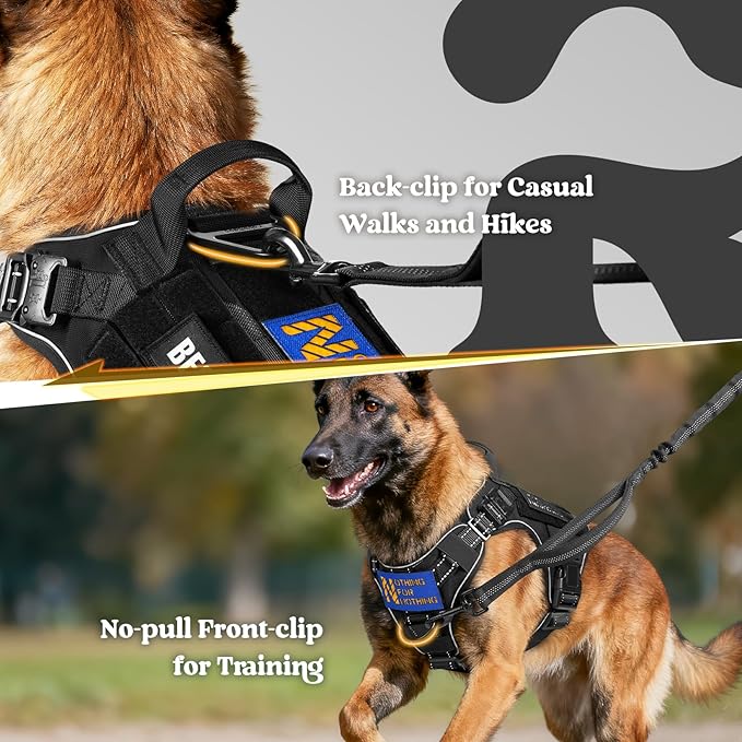 rabbitgoo Tactical Dog Harness Medium Sized, No Pull Upgraded Reflective Heavy Duty Molle Vest with Handle, Adjustable Military Service Dog Vest for Walking Hiking Training, Black, M