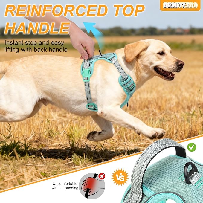 BEAUTYZOO No Pull Dog Harness, Adjustable Dog Harness and Leash Set -Easy Wearing with 3 Buckles/Control Handle,No Choke Soft Padded Reflective Pet Vest for Training Walking Hiking,Solid Aqua Blue M