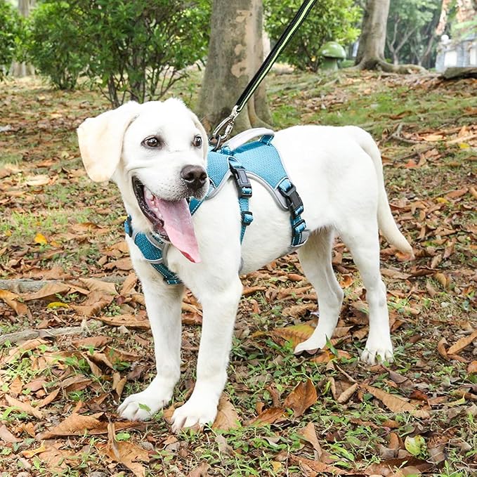 BELPRO Multi-Use Support Dog Harness, Escape Proof No Pull Reflective Adjustable Vest with Durable Handle, Dog Walking Harness for Big/Active Dogs (Blue, XL)