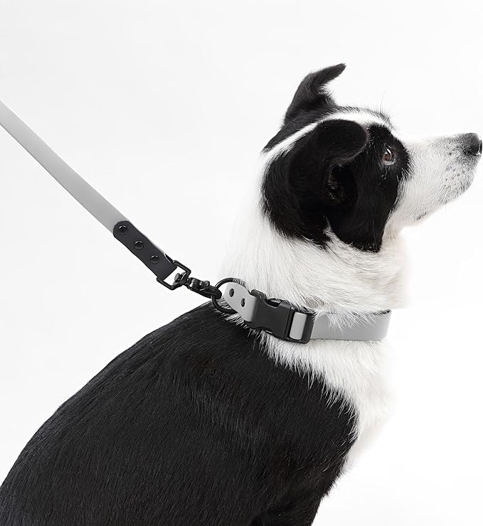 WLK1006N-5SET Luna Large 8FT Adjustable 6-in-1 Waterproof Hands-Free Leash and Collar with LED Flashlight, Bag Dispenser, and Poop Bag Holder, Martini