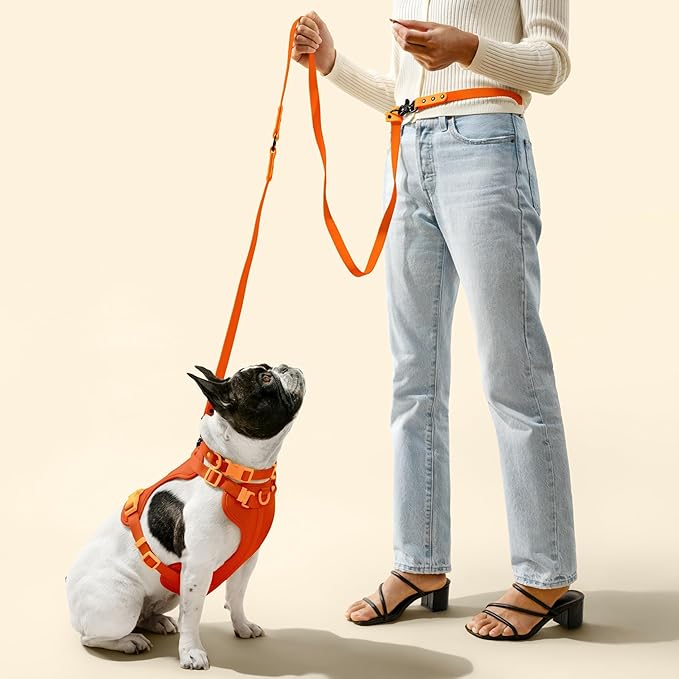 WLK1006A-5SET Luna Large 8FT Adjustable 6-in-1 Waterproof Hands-Free Leash and Collar with LED Flashlight, Bag Dispenser, and Poop Bag Holder, Aperol