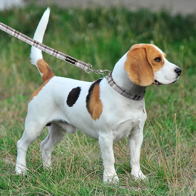 Plutus Pet Cotton Hemp Dog Collar and Leash Set, Adjustable Collar for Small, Medium, and Large Dogs, Heavy Duty and Soft on Skin, Gray Plaid, XL