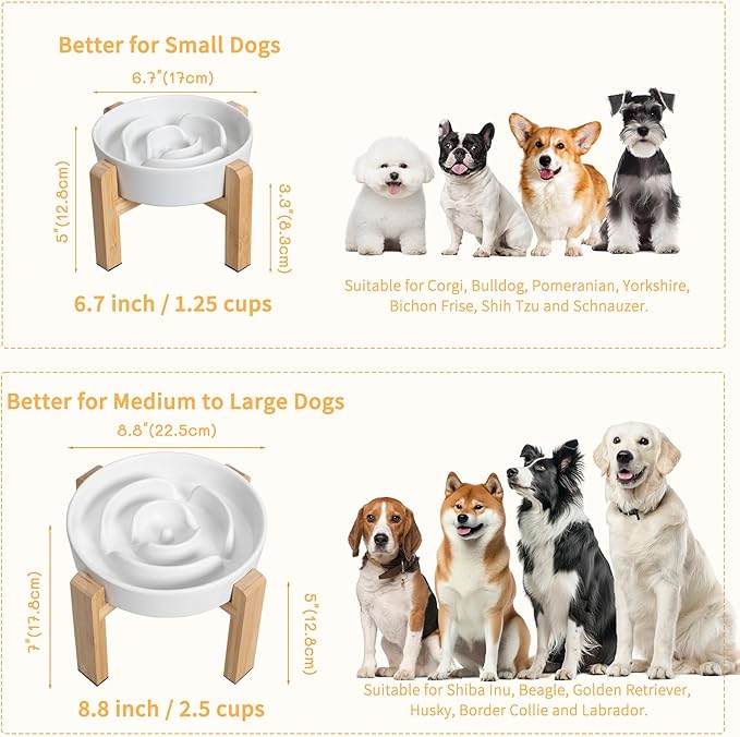 Elevated Slow Feeder Dog Bowl - Ceramic Maze Food Dish with Bamboo Stand - Raised Feeding Bowl for Fast Eaters - Ideal for Small and Medium Dogs - White - 6.7 inch