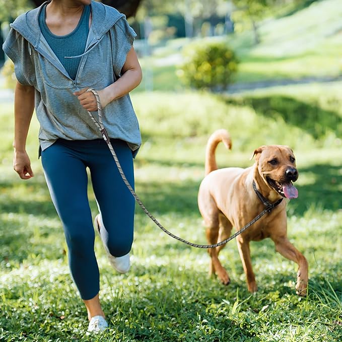 TwoEar Slip Leads for Dogs, 1/2" x 6FT Slip Leash for Large Dogs with Highly Reflective Threads, Comfortable Strong Rope Slip Leads, No Pull Pet Training Leash, Grey