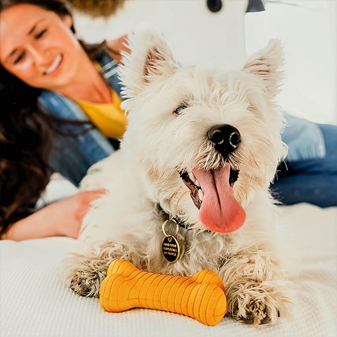 Playology Dog Toys | Dual Layer Bone Durable Chew Toy Bone for Dogs | Medium Cheddar Cheese Scented Toy - Easy to Clean and Made from Non Toxic Materials