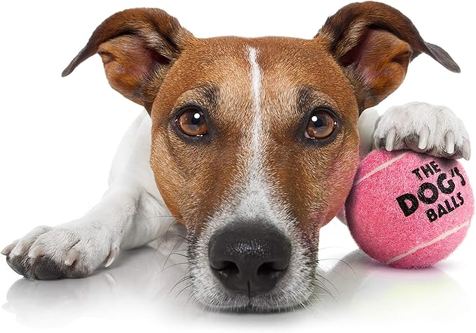 The Little Dog's Balls, Dog Tennis Balls, Pink 6-Pack, Strong Toy for Agility Training, Puppy Training, Play, Exercise & Fetch, 1.9 Inches Diameter