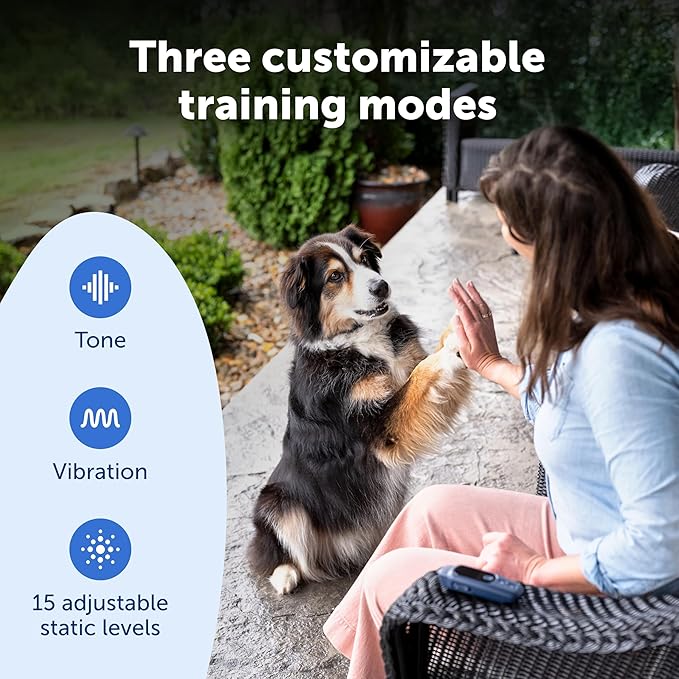 PetSafe Core Dog Trainer with Remote - Effective Dog Training - 15 Levels of Static Correction - Waterproof Collar - Rechargeable Training Collar - Compact Remote Transmitter