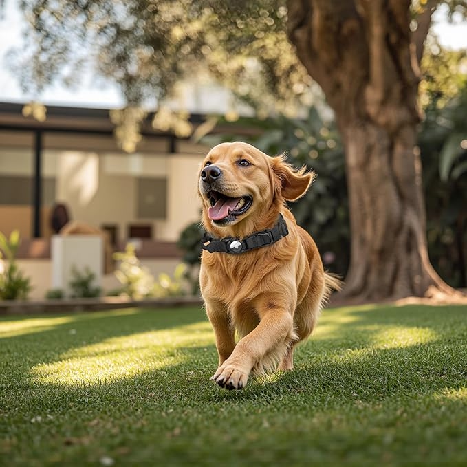 Upgraded Airtag Dog Collar Waterproof, Adjustable GPS Training Nylon Dog Collar with AirTag Holder, Control Handle and Quick-Release Buckle for Medium and Large Dogs (Black, L)