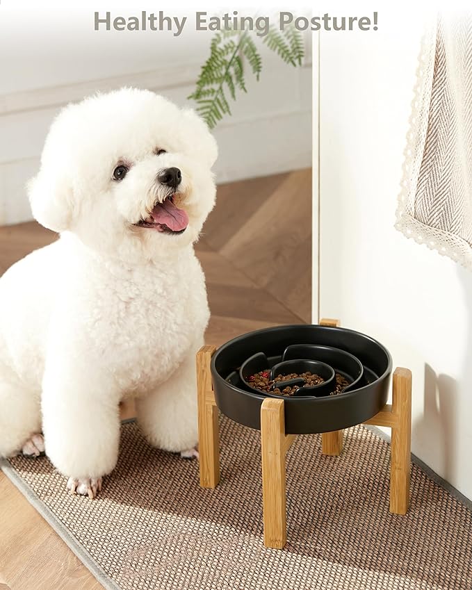 Ceramic Slow Feeder Dog Bowls Elevated, 2.0 Cups Slow Feeder for Medium and Large Dogs, Puzzle Maze Bowl to Slow Down Eating, 30oz, 8in, Black