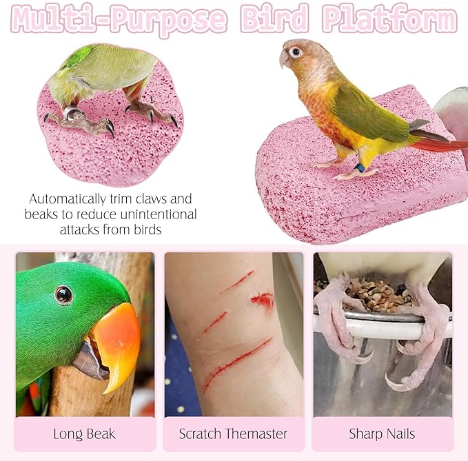 PINVNBY 5 Pack Bird Perch Resin Bird Beak Grinding Stone Parrot Cage Stand Platform Foot Claws Trimmer Chew Toy Cage Accessories for Budgie Cockatiel Conure Lovebird Finch (Pink)