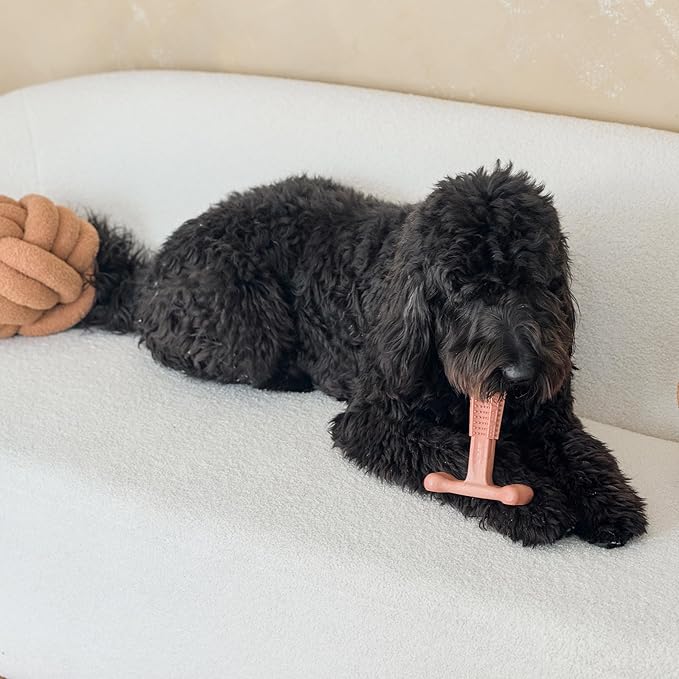 SPOT Bam-Bones Plus T Bone - Bamboo Fiber & Nylon Dog Chew Toy for Moderate to Aggressive Chewers, Non-Splintering, Long-Lasting, 7in Beef Flavor, for Adult Dogs & Teething Puppies Under 90lbs