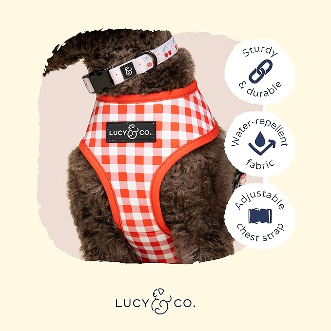 Lucy & Co. Cheery Cherries, Cute Reversible Dog Harness Walking Halter - Best Designer Pet Harnesses for XS - XL Dogs - Padded Adjustable Vest for Easy Walking (Medium)