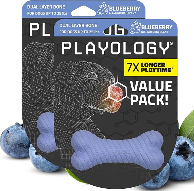 Playology Dog Toys | Dual Layer Bone Durable Chew Toy Bone for Dogs (Value 2-Pack) | Small Blueberry Scented Toy - Easy to Clean and Made from Non Toxic Materials