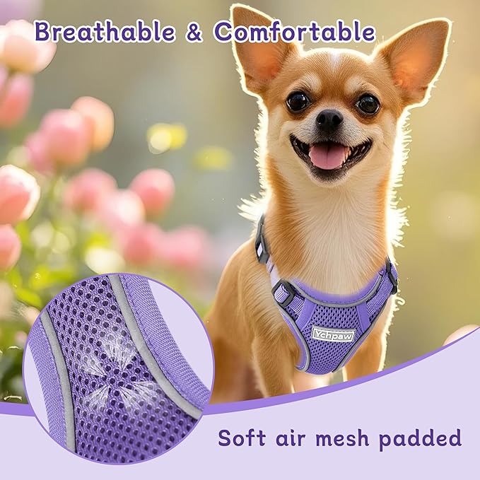 Small Dog Harness and Leash Set, Reflective Soft Breathable Mesh Vest, 3 Buckles, Adjustable Neck and Chest,Step in Dog Harness for Walking, Running, Training, Purple, XS