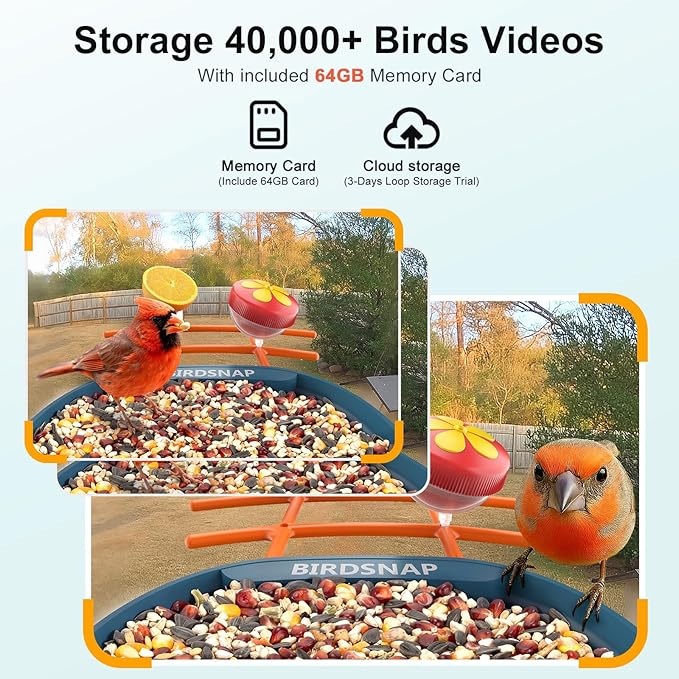 birdsnap® PAV-Bird Feeder with Camera 2K HD, 64GB Card, AI Identify Bird Species Smart Bird House with Camera Solar Powered, Record Video Live View, Auto Capture, Ideal Gift for Birds Lover