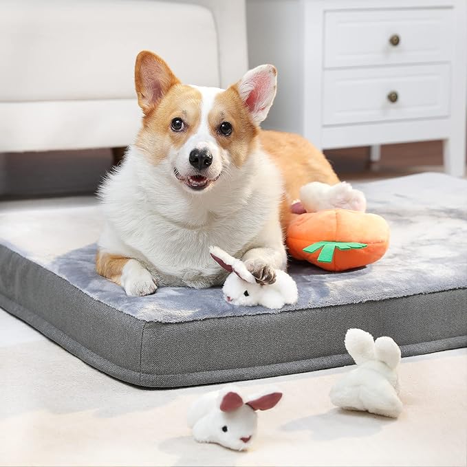 Amazon Basics Interactive Hide and Seek Squeaky Dog Plush Toy, Rabbit and Carrot, Orange and White, 5-Pack