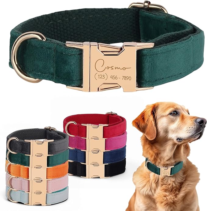 Velvet Harness Set, Gift for Pet Owners, Custom Dog Collar Personalized with Name and Phone Number, Custom Collar and Leash for Dogs, Engraved Metal Buckle Collar(Medium)