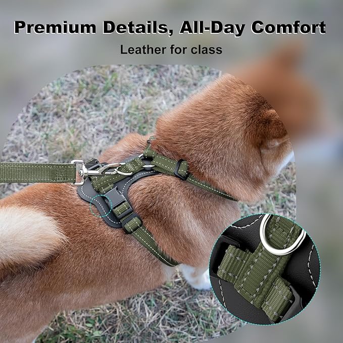 Plutus Pet Adjustable No Pull Dog Harness with Leather Accents, Heavy Duty Reflective Nylon Vest for Training, Hiking, Easy Walk Harness for Small, Medium, Large Dogs (Ranger Green, S)