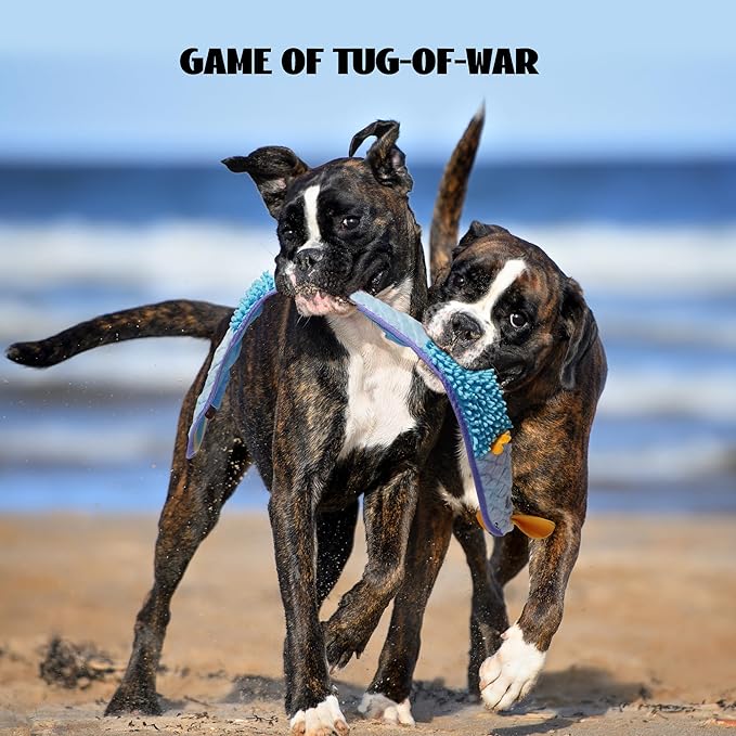 Nocciola EEL Squeaky Dog Toy, Tough No Stuffing Toy for Tug of War, Puppy Interactive Puzzle Fun to Keep Them Busy, Cognitive Crinkle Dog Toy for Large Medium Small Breed, Blue