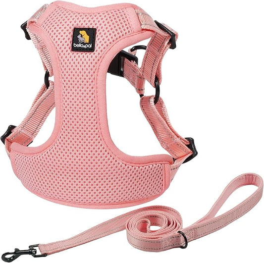 BELLA & PAL Adjustable Step-in Dog Harness, Puppy No-Pull Vest with Leash Set for XS/Small & Medium Dog, Breathable All-Weather Mesh, Reflective Strip, Secure Hook & Loop, Buckle Closure