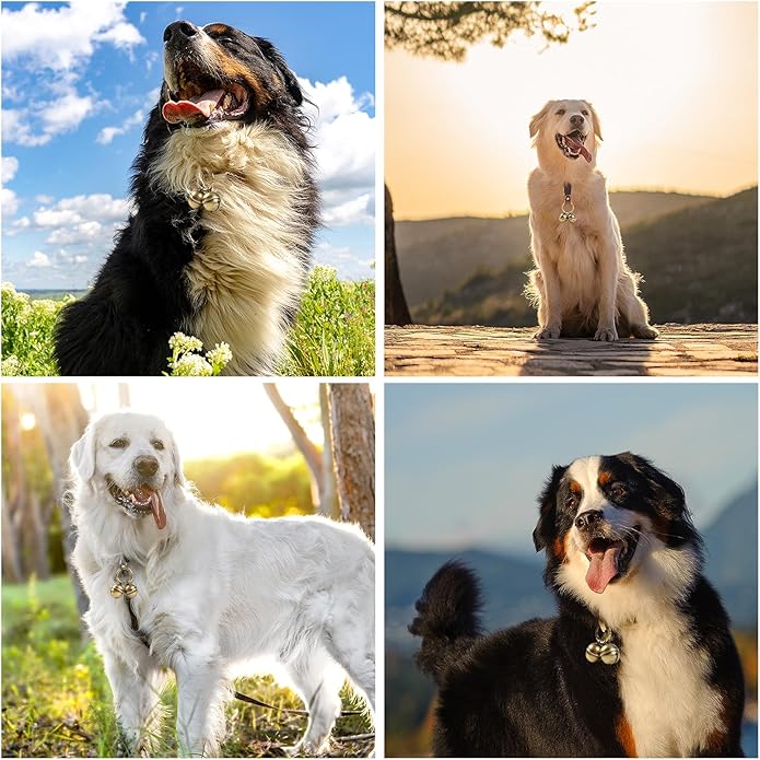 Loud Dog Collar Bells, Durable Pet Bells Tracker for Large Dogs, 4 Copper ells and 2 Leather Button Strap for Outdoor Safety, Pet Tracking, Hiking, Walking