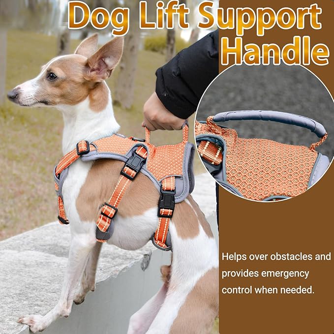 BELPRO Multi-Use Support Dog Harness, Escape Proof No Pull Reflective Adjustable Vest with Durable Handle, Dog Walking Harness for Big/Active Dogs (Orange, XL)