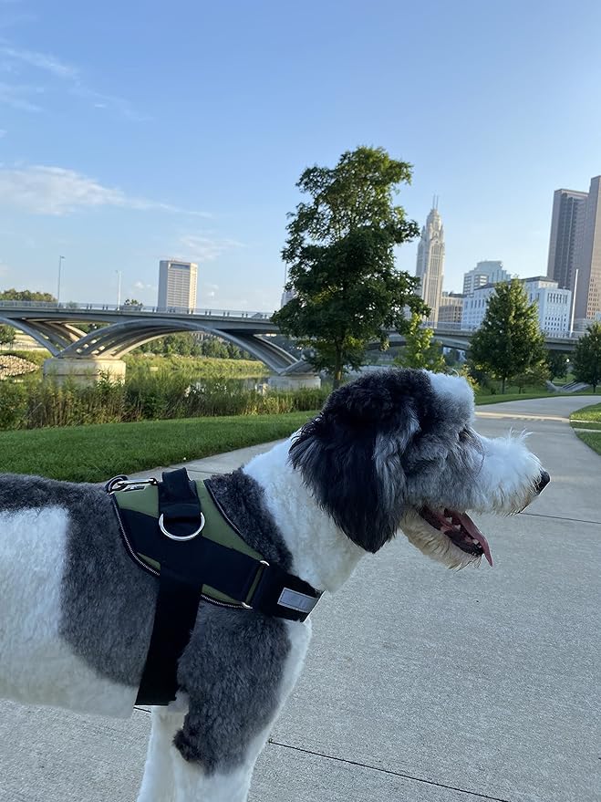 ShawnCo Essential Dog Harness, No-Pull Pet Vest with 3 Leash Clips, No Choke, Reflective, Adjustable and Padded, for Easy Walking and Training for Small, Medium and Large Dogs (Olive Green, M)