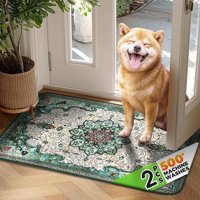 Hompet 2 Pack Super Absorbent Dog Door Mat for Muddy Paws, Washable Pee Pads for Dogs, Reusable Puppy Training Pads, Quick Dry Non-Slip Pet Entryway Rug, Leak-Proof Potty Pad for Indoor Floors 19x30