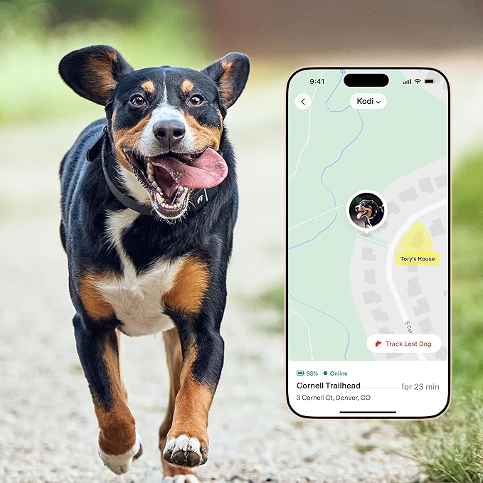 Fi Series 3+ Smart Dog Tracker Collar – 6 Month Membership Included