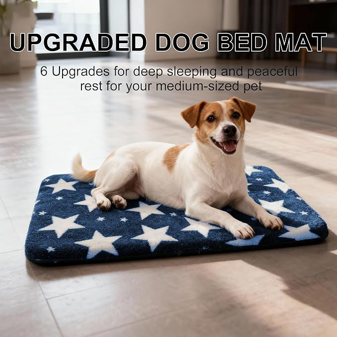 Washable Dog Bed Plush Orthopedic Outdoor Crate Mat with Non-Slip Bottom,Luxe Soft Kennel Pad for Pets, Cozy Cage Cushion & Pet Sleeping Mattress Large Sized,Medium,Small Dogs,30 x 20 inch,Blue