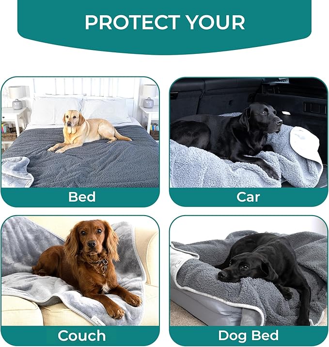 100% Waterproof Dog Blankets for Large Dogs – Soft Fleece, Washable Pet Throw for Couch, Car, Bed & Furniture Protection, Soft Fluffy Reversible Blanket, 40"x47", Gray/Gray