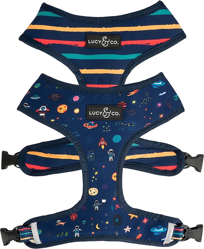 Lucy & Co. Space Doodle, Cute Reversible Dog Harness Walking Halter - Best Designer Pet Harnesses for Medium Dogs - Padded Adjustable Vest for Easy Walking (X-Small)