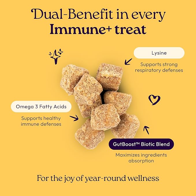 WellJoy Cat Treat Immune+ GutBoost | Supports a Healthy Respiratory System & Immune Defenses | Dual-Benefit GutBoost Formulation | Vet Formulated | Made in USA | Real Chicken | 120 Soft Chews