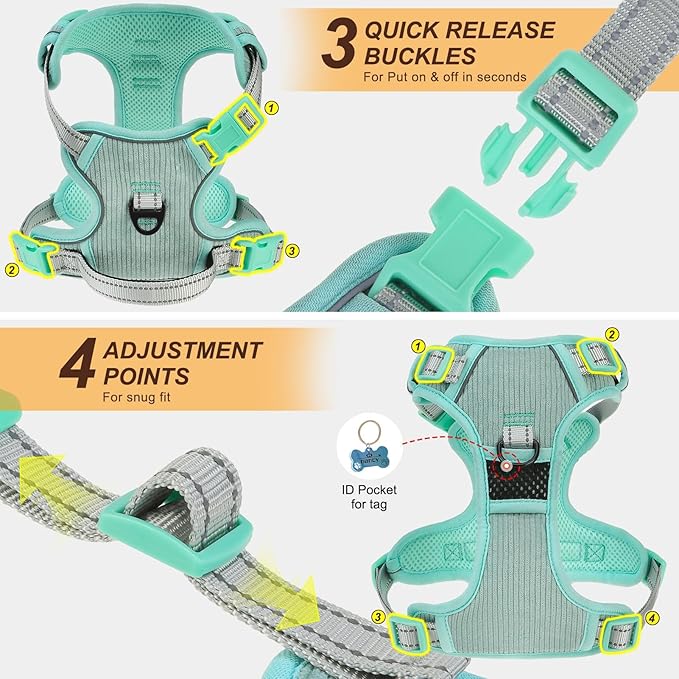 BEAUTYZOO No Pull Dog Harness, Adjustable Dog Harness and Leash Set -Easy Wearing with 3 Buckles/Control Handle,No Choke Soft Padded Reflective Pet Vest for Training Walking Hiking,Solid Aqua Blue M